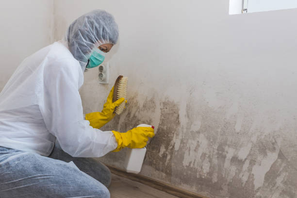 Best Industrial Mold Remediation  in Genoa City, WI